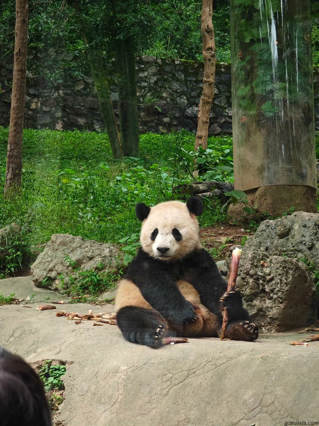 8-Day Chengdu Private Tour